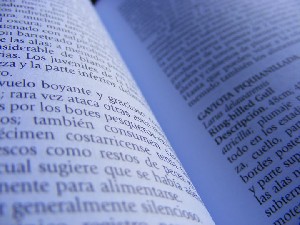 biblioteca 048 copy.jpg